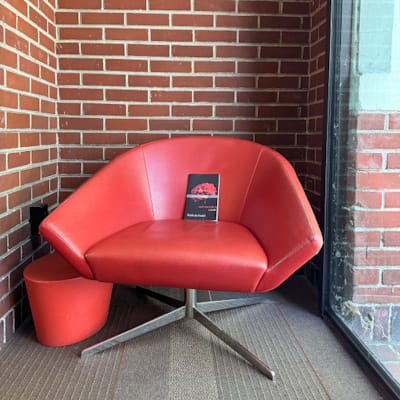Kimberly Kradel: red carnation: a novella: The Orange Chair