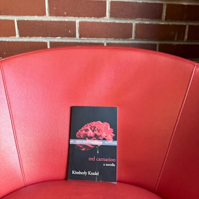 Kimberly Kradel: red carnation: a novella: The Orange Chair